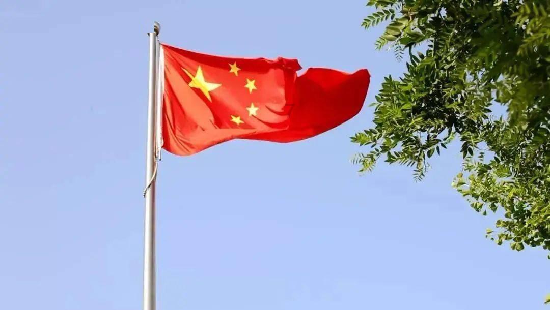 五彩鹦鹉救援