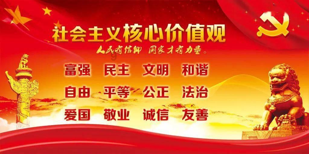 “豹平安”来了！大连斑海豹与冬泳者同游