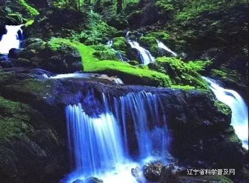 小猪仔要回家