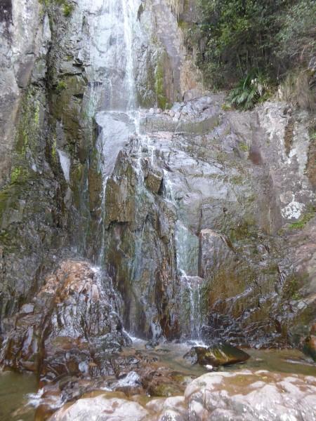 哈尔滨一男子自制迷你龙型冰雕免费送出：平均一天送200个，本地人也可以拿